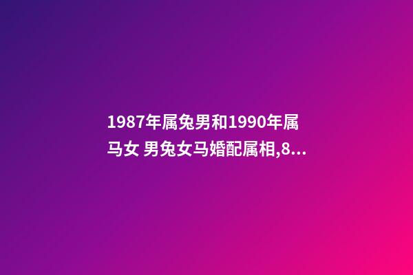 1987年属兔男和1990年属马女 男兔女马婚配属相,87年的男兔和90年的女马可以婚配吗-第1张-观点-玄机派